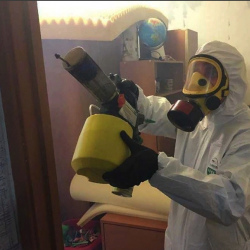 Уничтожение клопов в квартире. Нахимовский проспект