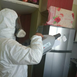 Уничтожение насекомых в квартире. Нахимовский проспект